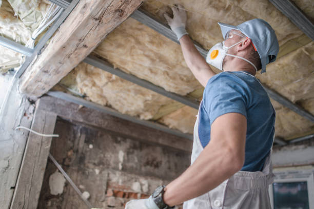 Best Insulation Installation Services in Algonac, MI